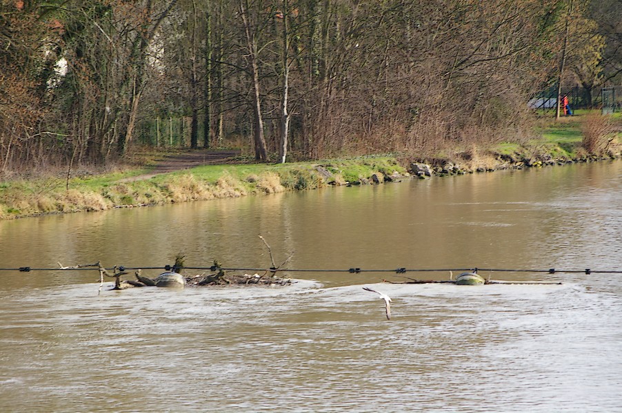 Les Oiseaux: Ecluse d evry 220